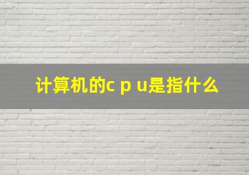 计算机的c p u是指什么